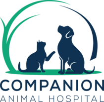 Companion Animal Hospital